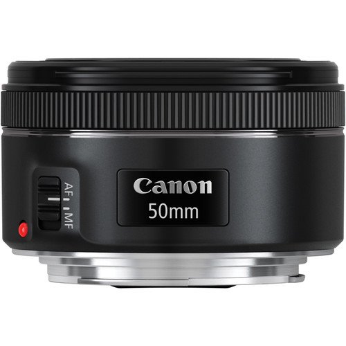Canon EF 50mm f/1.8 STM Lens - Image 10